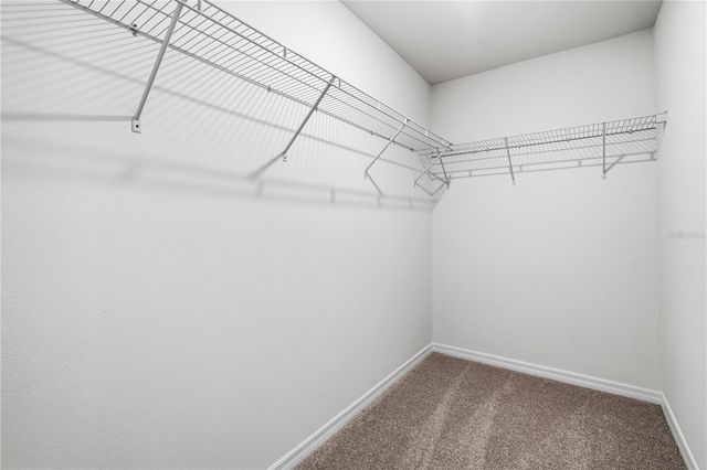 16278 BIRD OF PARADISE AVENUE, Clermont, FL 34714