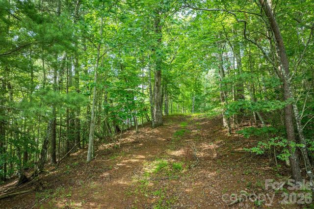 804 Marina Drive 2, Nebo, NC 28761