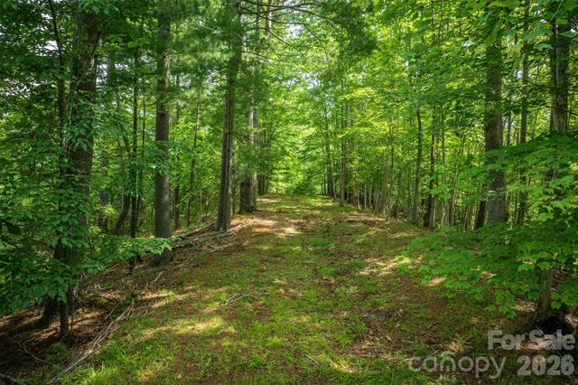 804 Marina Drive 2, Nebo, NC 28761