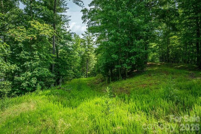 804 Marina Drive 2, Nebo, NC 28761