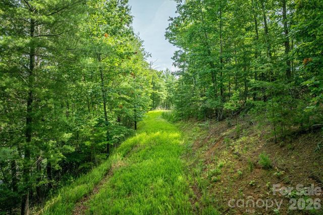 804 Marina Drive 2, Nebo, NC 28761