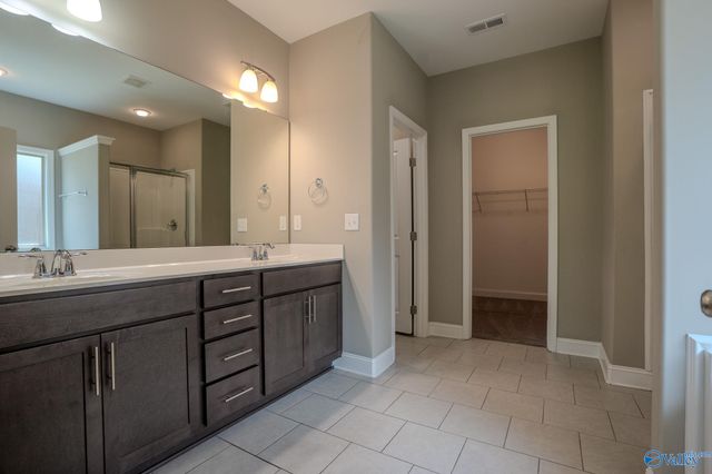 264 Willow Bank Circle, Decatur, AL 35603