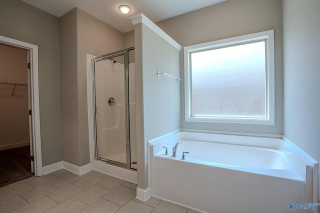 264 Willow Bank Circle, Decatur, AL 35603