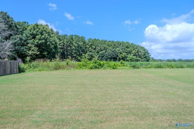 264 Willow Bank Circle, Decatur, AL 35603