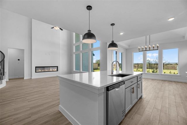 16231 Blue Mistflower Lane, Hockley, TX 77447