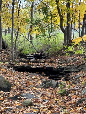 6126 Rossier Rd, Canandaigua Town, NY 14424