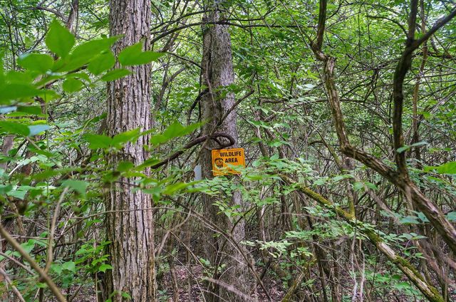 0 Yankeetown Pike, Mount Sterling, OH 43143