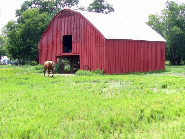 2476 Fm 132, Crockett, TX 75835