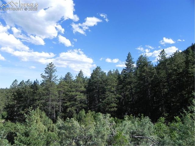8117 Acoma Drive, Larkspur, CO 80118
