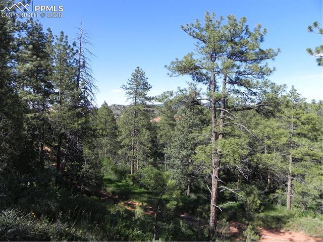 8117 Acoma Drive, Larkspur, CO 80118