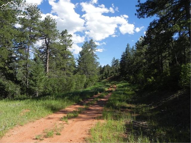 8117 Acoma Drive, Larkspur, CO 80118