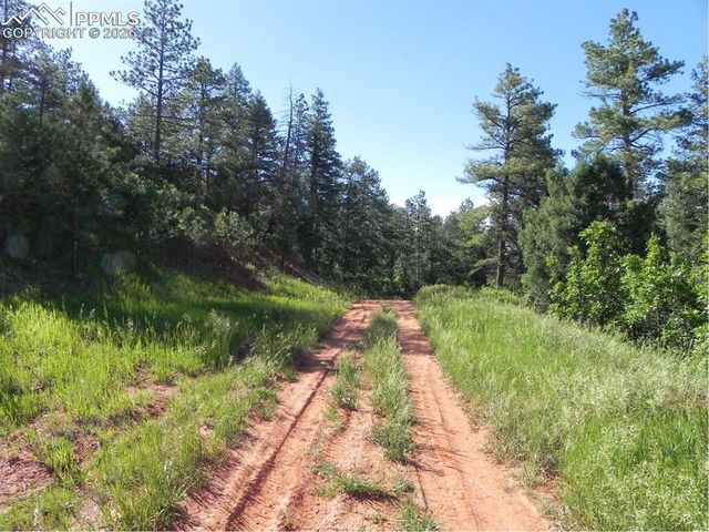 8117 Acoma Drive, Larkspur, CO 80118