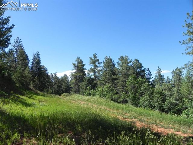 8117 Acoma Drive, Larkspur, CO 80118