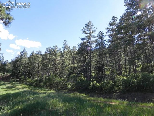 8117 Acoma Drive, Larkspur, CO 80118