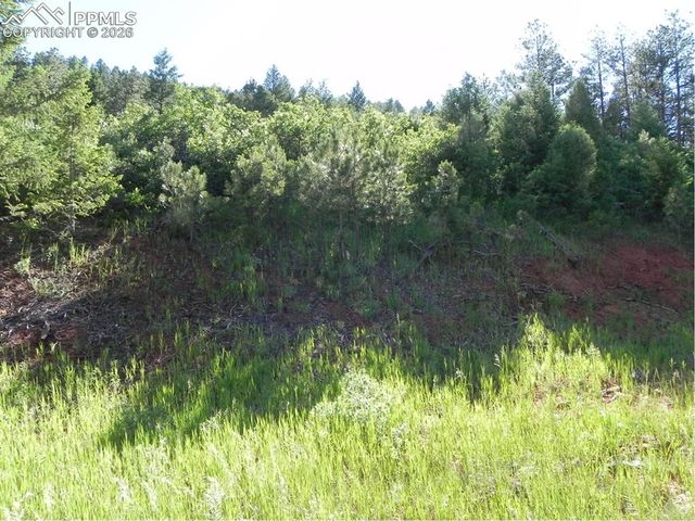 8117 Acoma Drive, Larkspur, CO 80118