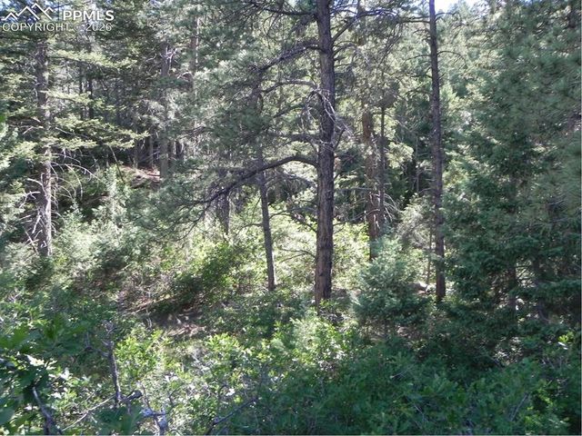 8117 Acoma Drive, Larkspur, CO 80118