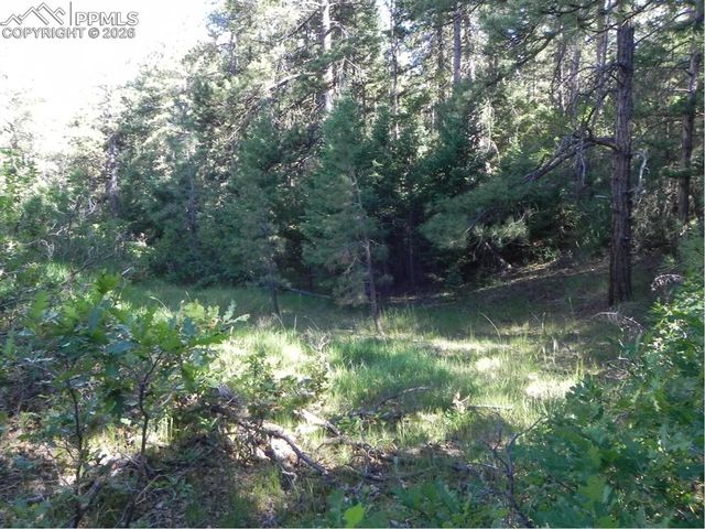 8117 Acoma Drive, Larkspur, CO 80118