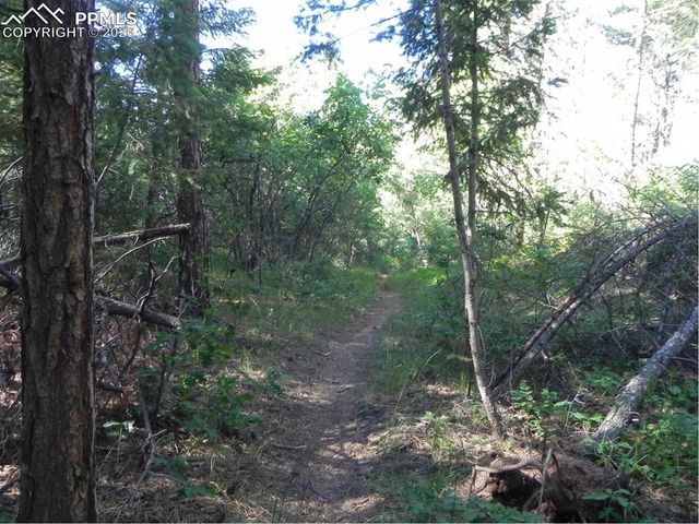 8117 Acoma Drive, Larkspur, CO 80118