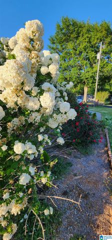 109 HENDRIX STREET, Oneonta, AL 35121