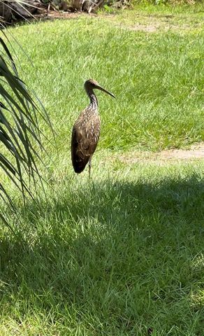 5915 AVENUE F, Mc Intosh, FL 32664