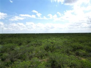 0 San Diego Creek Tract 16, San Diego, TX 78384