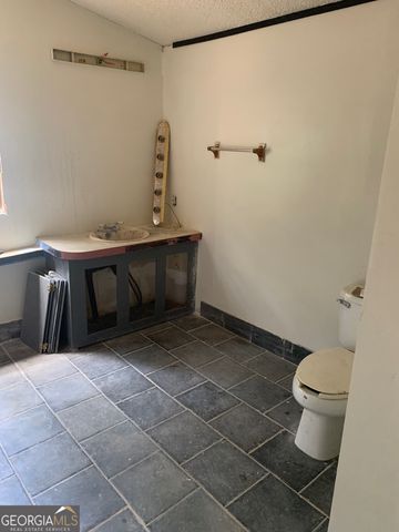 17 Lewis Drive, Lavonia, GA 30553