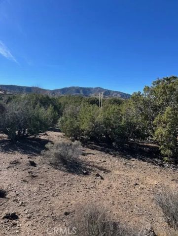 0 Sky Line, Pinon Hills, CA 92372