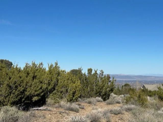 0 Sky Line, Pinon Hills, CA 92372