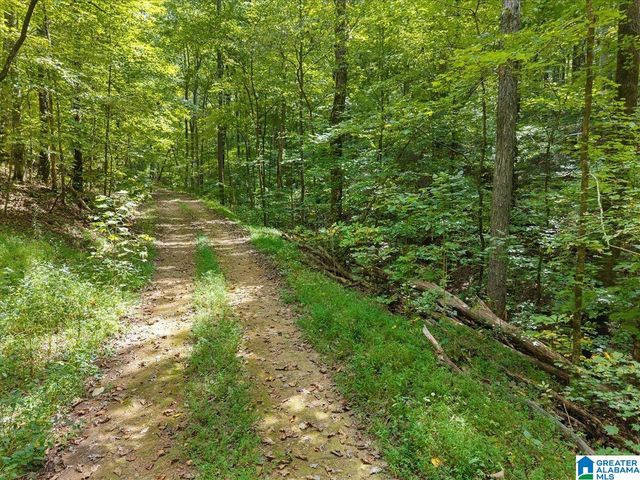 0 CLIFF ROAD, Springville, AL 35146