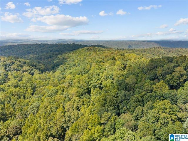 0 CLIFF ROAD, Springville, AL 35146