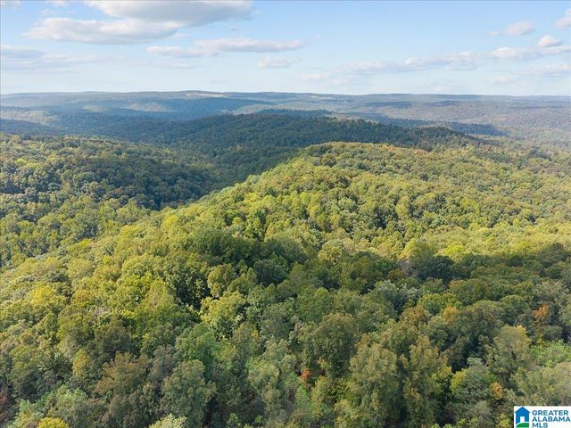 0 CLIFF ROAD, Springville, AL 35146
