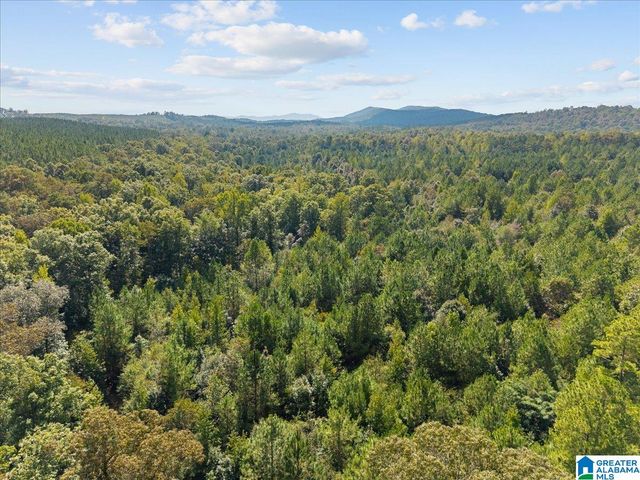 0 CLIFF ROAD, Springville, AL 35146
