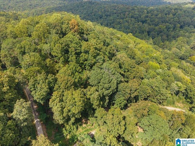 0 CLIFF ROAD, Springville, AL 35146