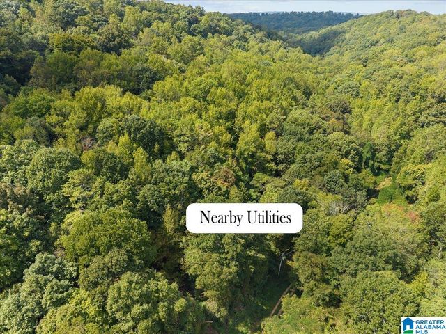0 CLIFF ROAD, Springville, AL 35146