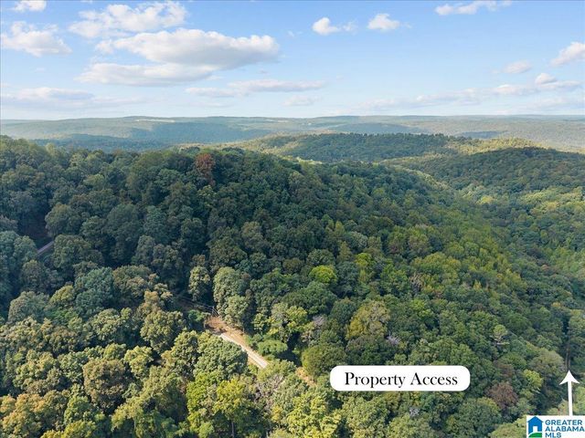 0 CLIFF ROAD, Springville, AL 35146