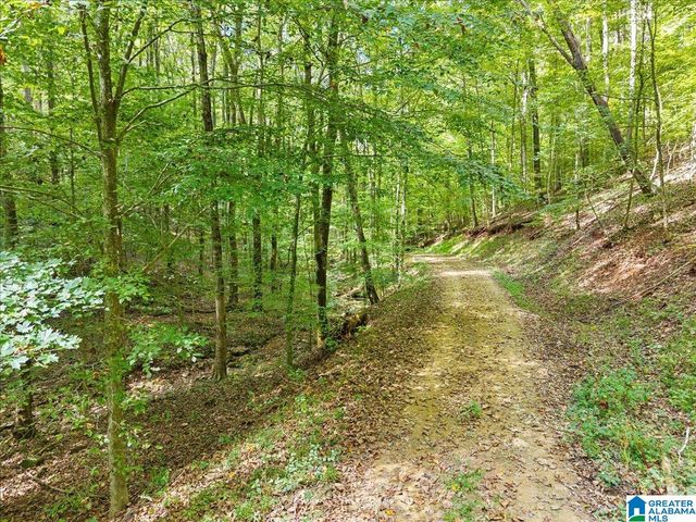 0 CLIFF ROAD, Springville, AL 35146