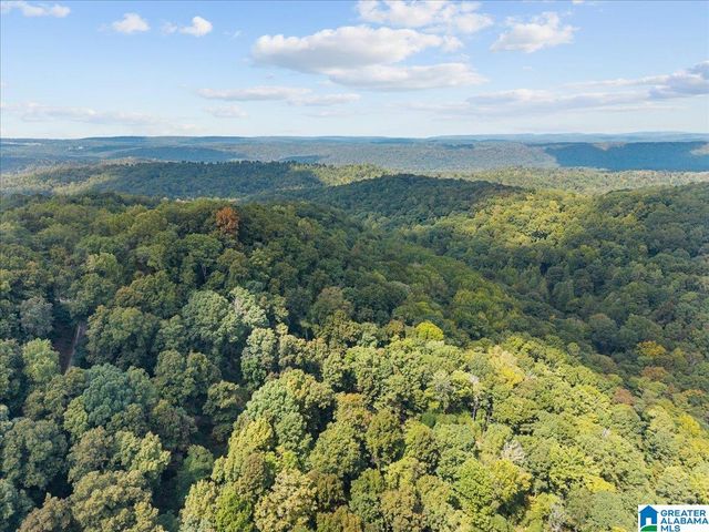 0 CLIFF ROAD, Springville, AL 35146
