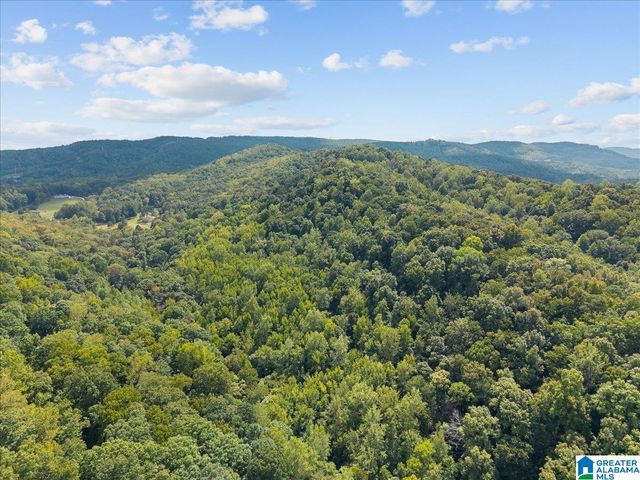 0 CLIFF ROAD, Springville, AL 35146