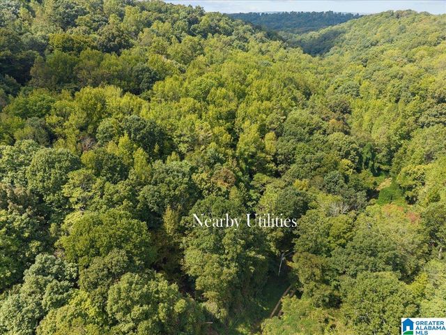 0 CLIFF ROAD, Springville, AL 35146