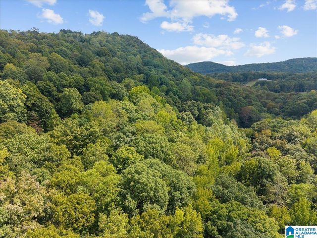 0 CLIFF ROAD, Springville, AL 35146