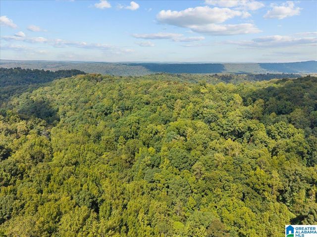 0 CLIFF ROAD, Springville, AL 35146