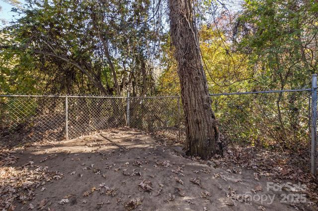 195 Terrace Drive, Canton, NC 28716