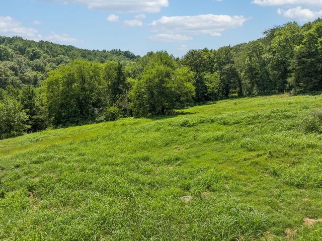 0 Club Springs Rd, Elmwood, TN 38560