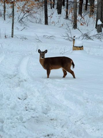 2170 Wildlife Road, Hartford, VT 05001