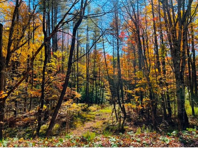 2170 Wildlife Road, Hartford, VT 05001