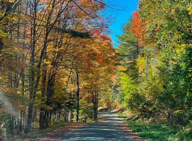 2170 Wildlife Road, Hartford, VT 05001