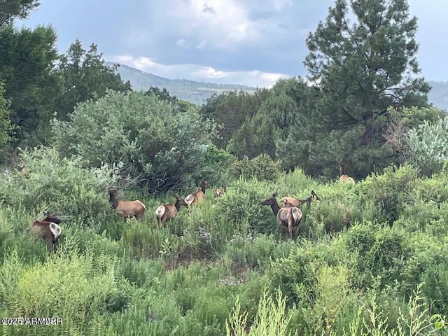 9 N3479 --, Vernon, AZ 85940