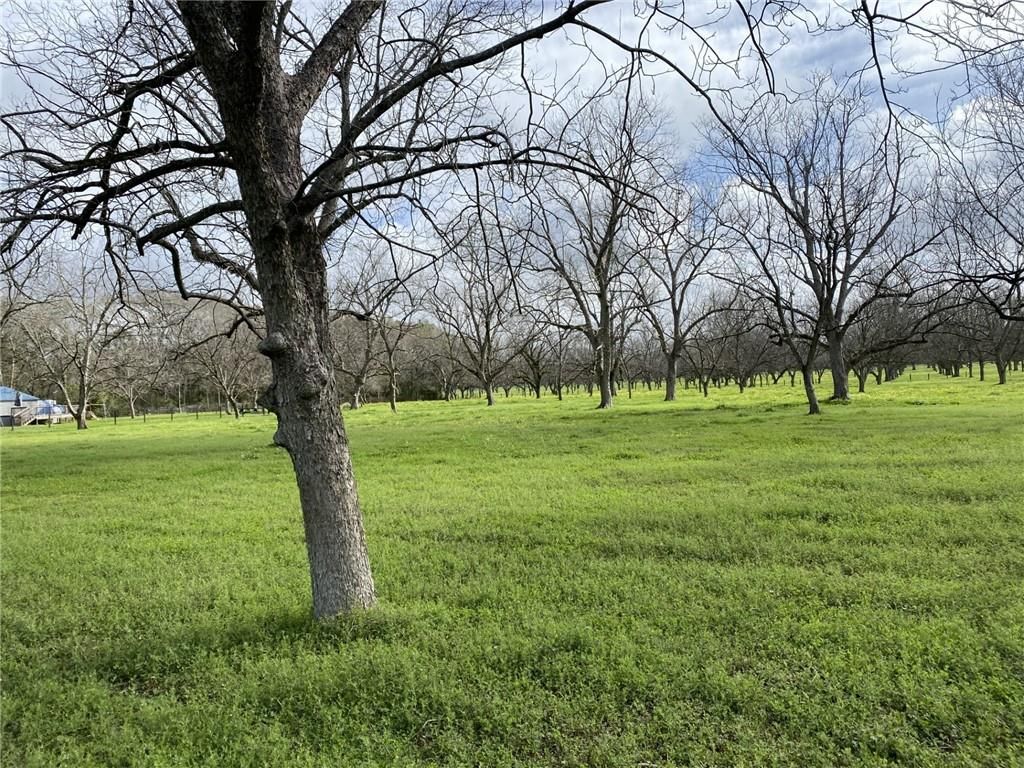 0 Festival Park Road, Grand Bay, AL 36541 — photo 4