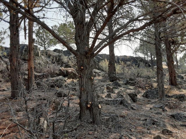 30442 Rim Drive, Chiloquin, OR 97624