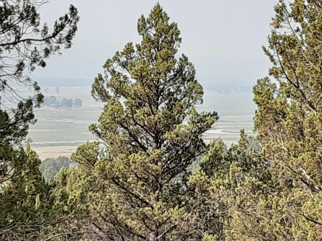 30442 Rim Drive, Chiloquin, OR 97624